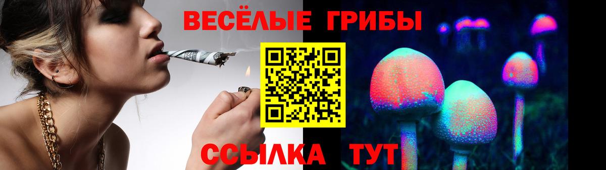 Кашира  Галлюциногенные грибы GOLDEN TEACHER  закладки  Вход с VPN 
