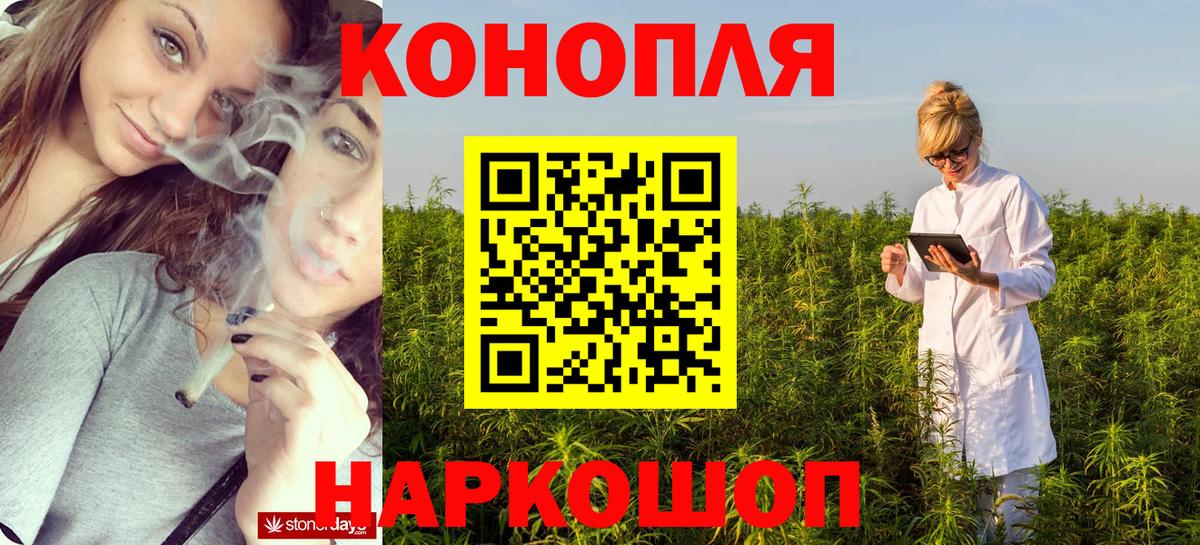 Бошки марихуана план Кашира